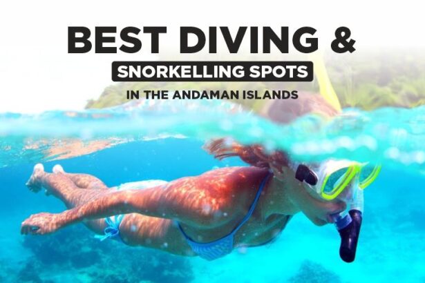 Diving and Snorkelling Spots in the Andaman Islands