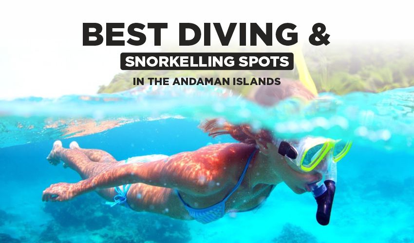 Diving and Snorkelling Spots in the Andaman Islands