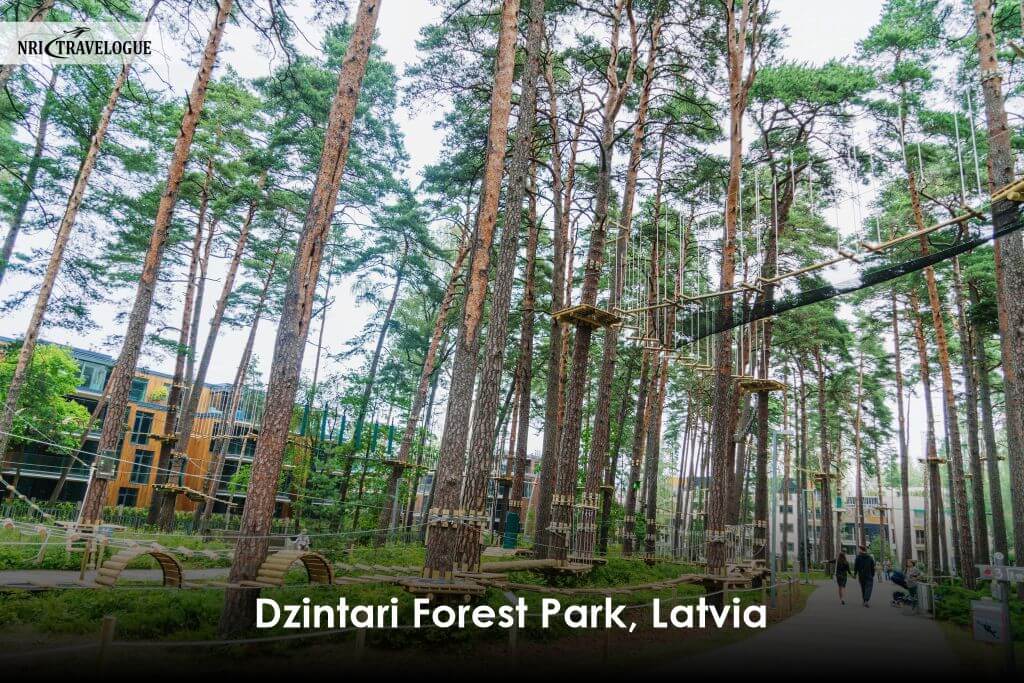 Dzintari Forest Park, Latvia