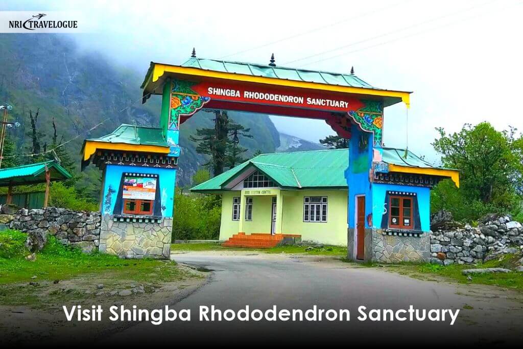 Visit Shingba Rhododendron Sanctuary