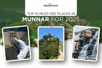 must see places in munnar for 2025