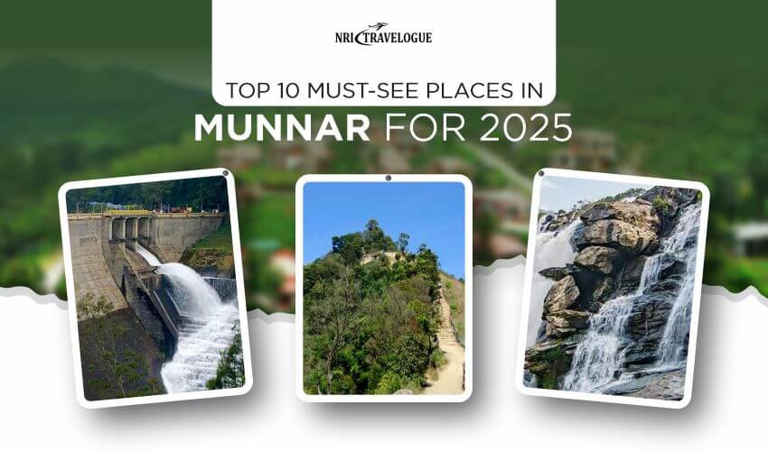 must see places in munnar for 2025