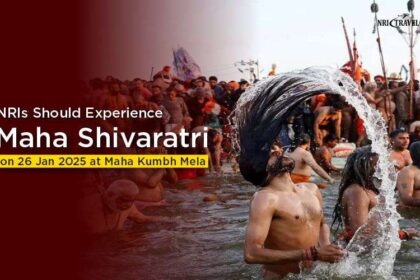 nris should celebrate maha shivaratri in india