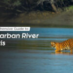 guide to sundarban river safaris